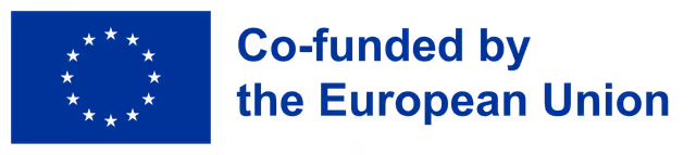 Co-funded by the European Union